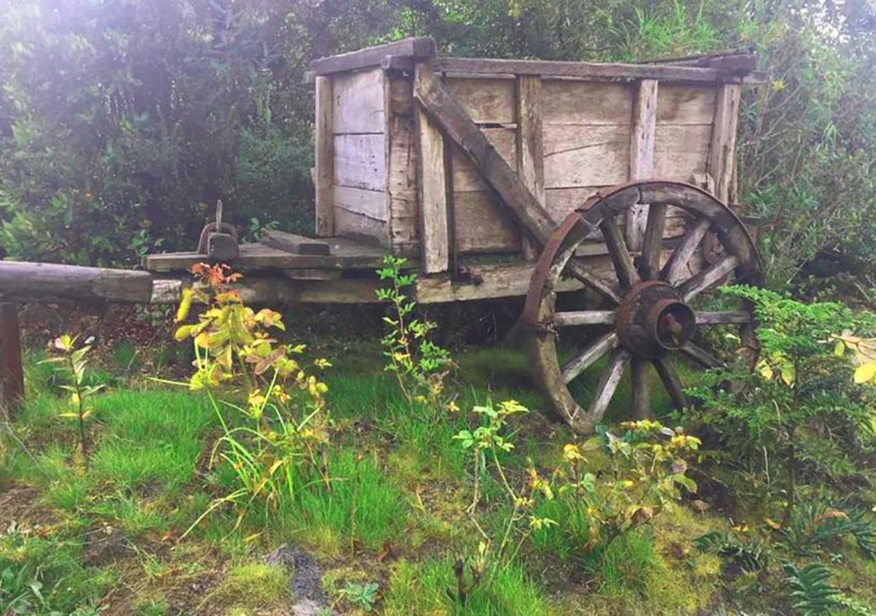 Cabanas Los Cantos Del Chucao Puerto Varas Exteriör bild